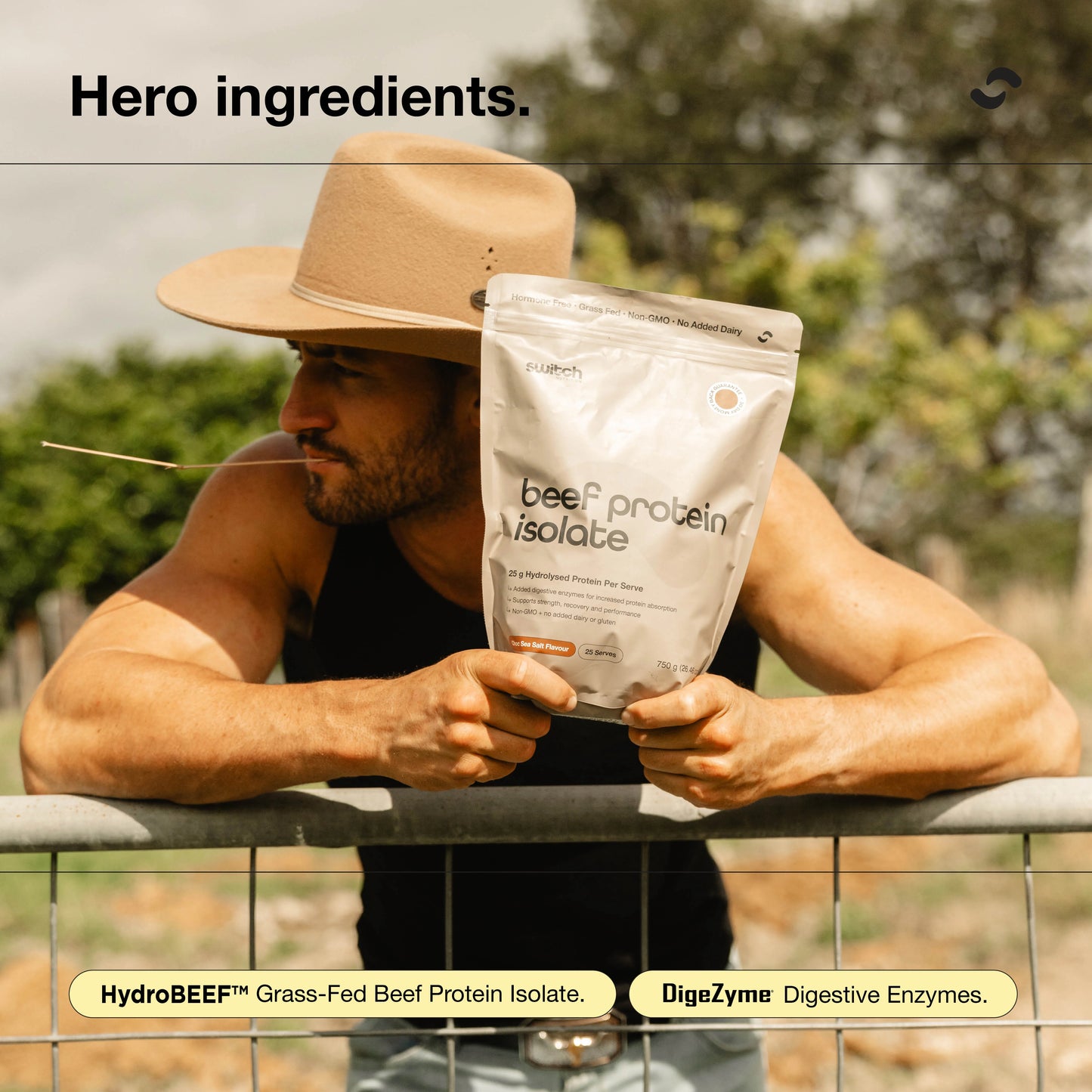 Switch Beef Protein Isolate 450g